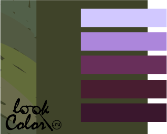 Комбинезоны фиолетового и каштанового цвета