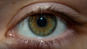 Люди с зелеными глазами