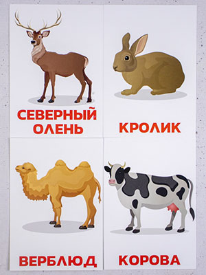 Карточки с изображением животных